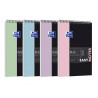 Bloc oxford etudiant easynotesreliure integrale 210x315mm 160p 4 trous reglure 5x5 pastel ass lot de 15 blocs