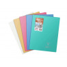 Cahier pique clairefontaine koverbook silver couverture pp opaque 240x320mm 96 pages reglure seyes coloris