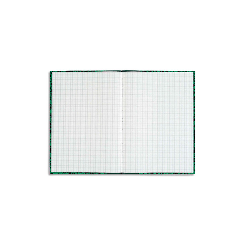 LE DAUPHIN 1 Brochure marbrée 21x29,7cm 192 pages quadrillé 5x5 coloris aléatoire 392506
