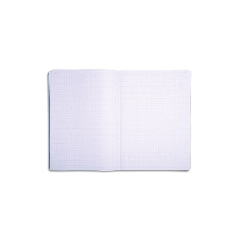 LE DAUPHIN Piqûre foliotée 21x29,7 cm 100 pages quadrillé 5x5