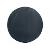 Ballon d'assise leitz anti-basculement ergo leste diam. 55cm coloris gris fonce