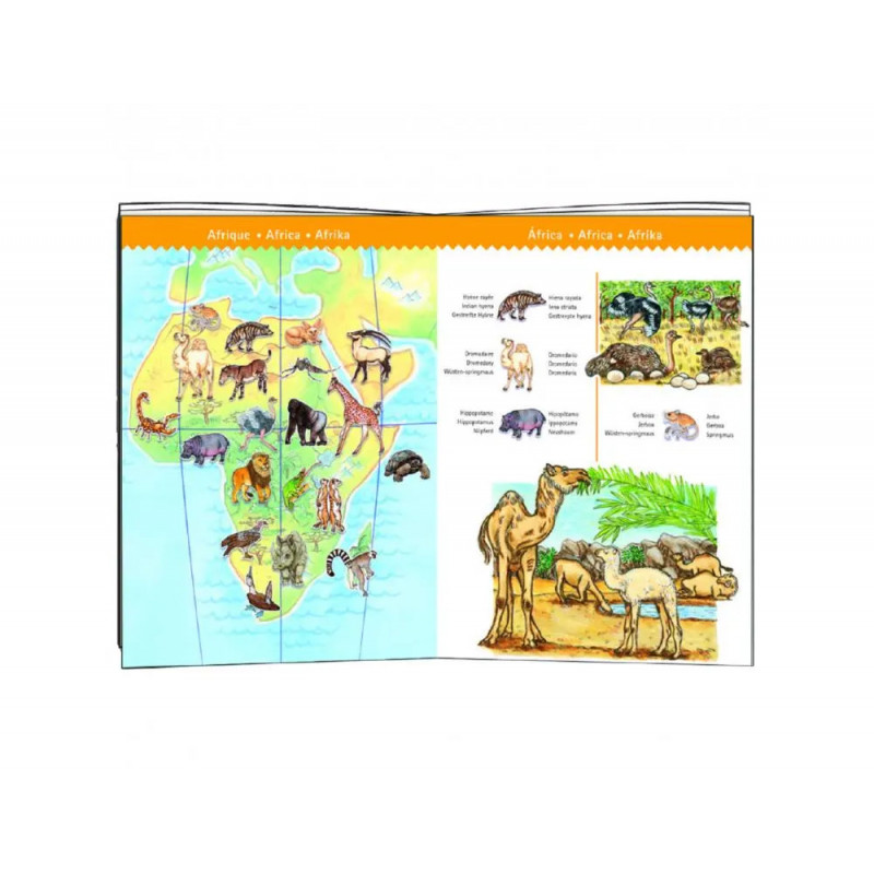Puzzle interdacta animaux du monde 100 pcs 61x35cm + 1 livret + 1 poster