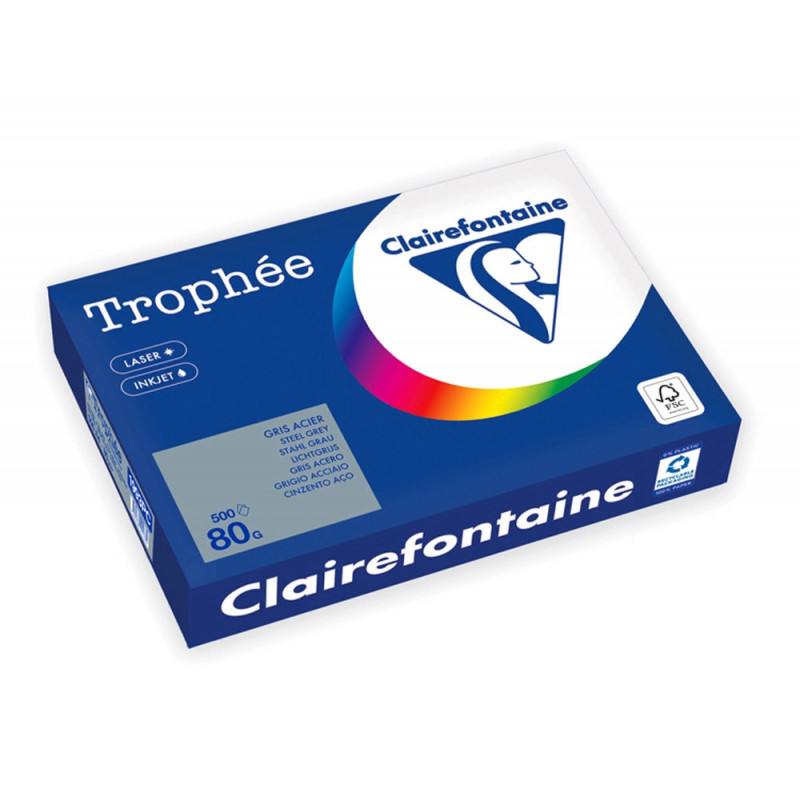Ramette clairefontaine papier couleur a4 80g 500 feuilles coloris gris acier