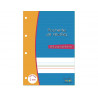 Feuillets mobiles hamelin serpodile perfores a4 100 pages double ligne 2mm niveau 4