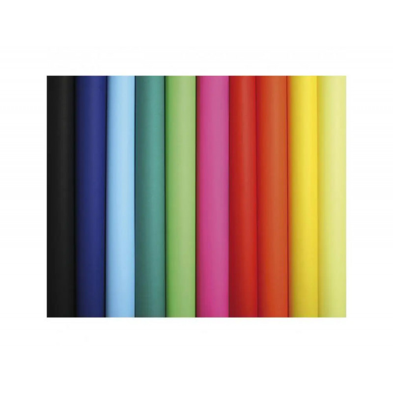 Papier affiche clairefontaine 60x80cm 90g coloris assortis paquet 50 feuilles