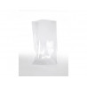 Lot sachets transparents graine creative 11x19 cm 10 unites
