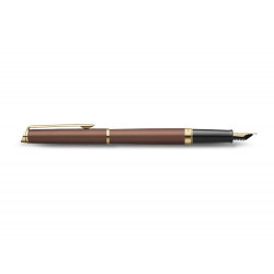Stylo-plume waterman...