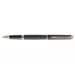 Stylo-plume waterman...