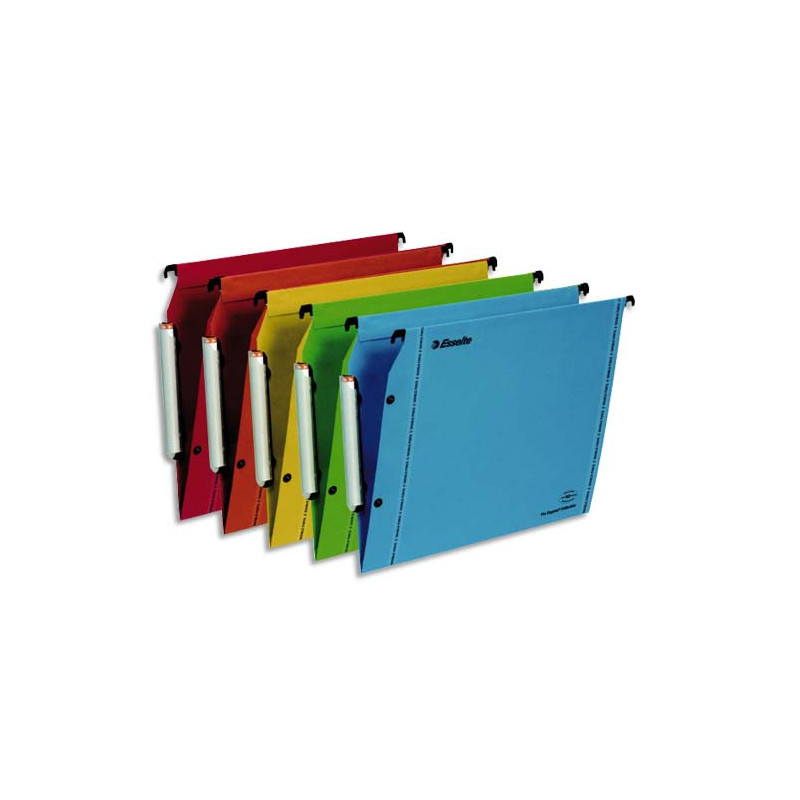 ESSELTE Paquet 10 dossiers suspendus LMG ARMOIRE en kraft 240g. Fond V, bouton-pression. Coloris assortis
