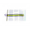 Besoins specifiques materiels pedagogiques roylco pointeur doigt pour lecture 12 pointeurs