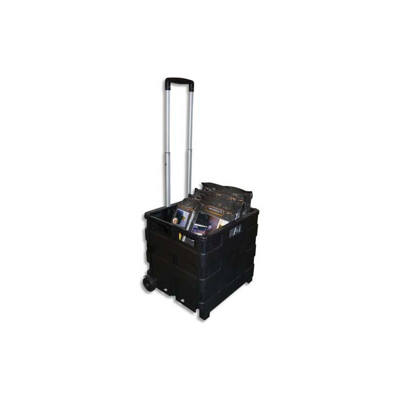 VISO Casier Trolley pliable en polypropylène - Dimensions ouvert L42 x H38 x P40 cm Noir