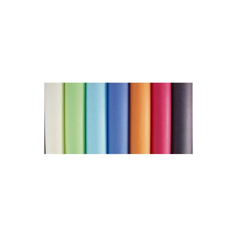 CLAIREFONTAINE Rouleau de papier Kraft couleur 65g. Format 3x0,7m. Coloris pastels assortis en présentoir