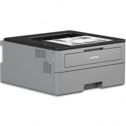 BROTHER Imprimante laser monochrome HL-L2350DW HLL2350DWRF1