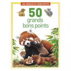 LITO DIFFUSION Boîte de 50...