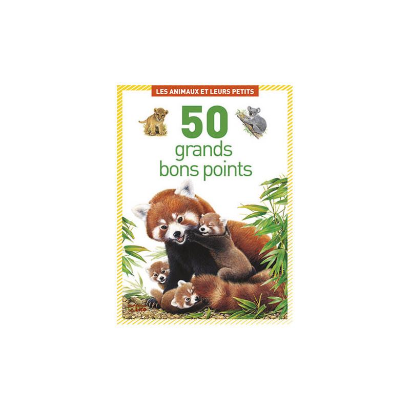 LITO DIFFUSION Boîte de 50 grandes image thème les animaux et leurs petits