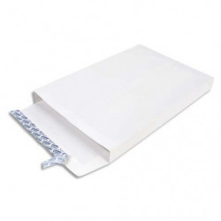 GPV Paquet de 100 pochettes...