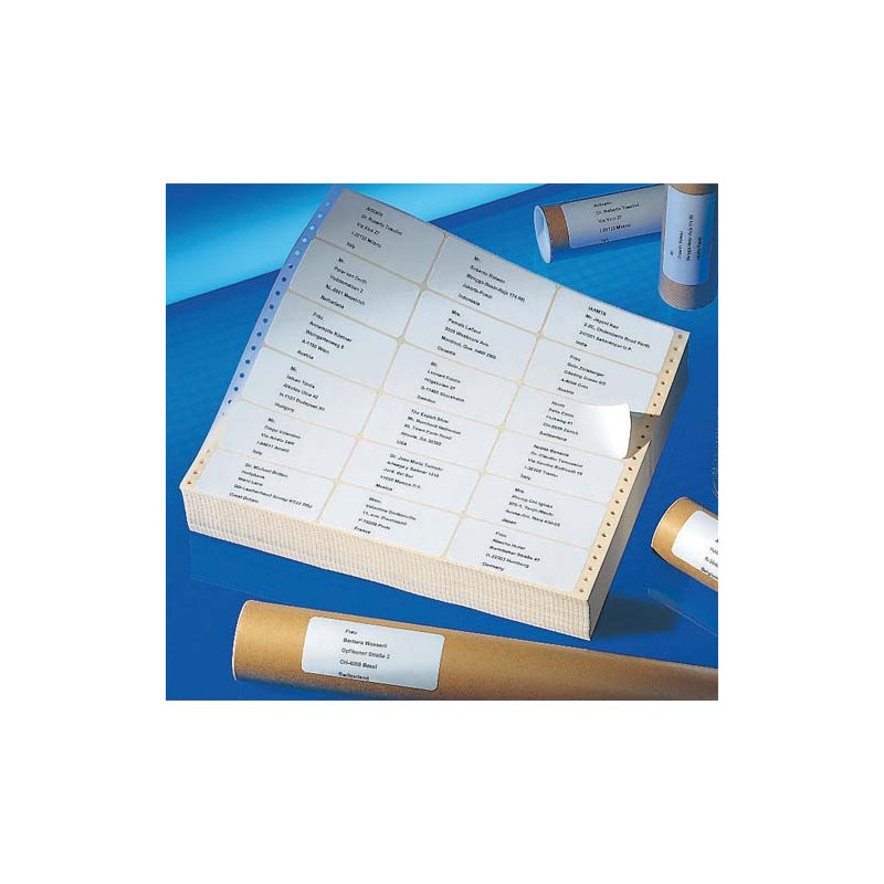 AVERY Boîte de 3000 étiquettes ordinateur 125X48.8 1F.T4811-500