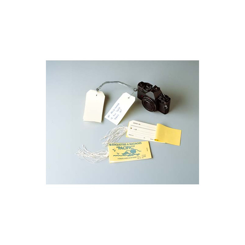 AVERY Boîte de 1000 étiquettes américaines 120x60mm+ attache fil de fer 75-410