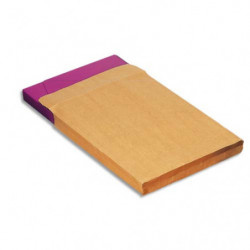 GPV Paquet de 250 pochettes kraft 120g 229 x 324 mm à fenêtre 50 X 100 mm et à 3 soufflets 30 mm 4922