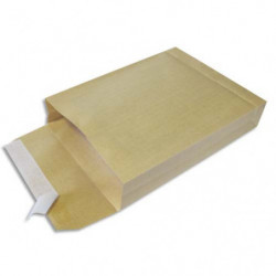 GPV Boîte de 250 kraft armé...
