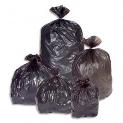 Carton de 100 sacs...