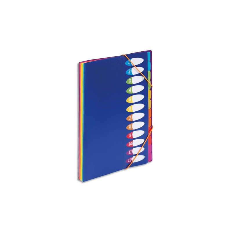 VIQUEL Trieur HAPPY FLUO PP 5/10e 12 touches, dos soufflets, fermeture élastique. Format A4. Coloris Bleu