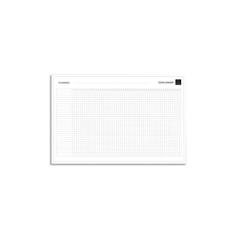 EXACOMPTA Planning magnétique Projet effaçable à sec avec magnets réinscriptibles. Format 60 x 90 cm